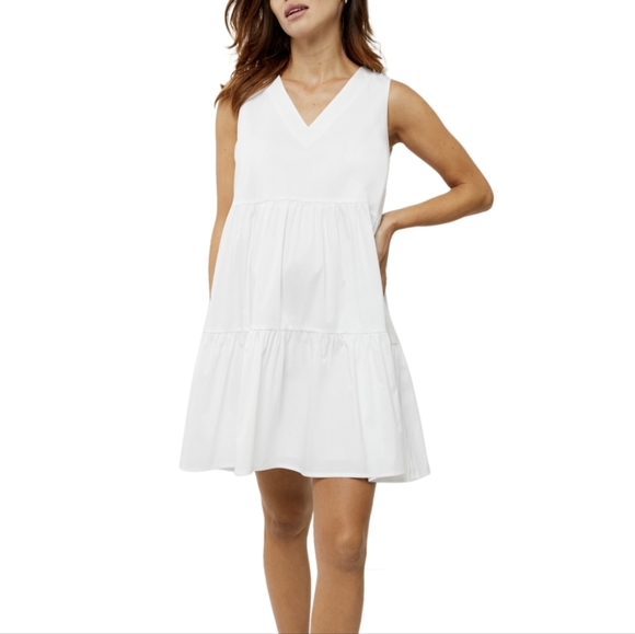 🆕🌿PIETRO BRUNELLI MILANO DRESS🌿 - Picture 2 of 14